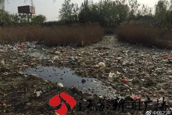 宝可梦朱紫特殊进化条件有哪些