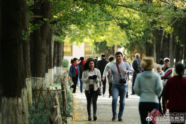 RecursiveRuin需要什么配置要求