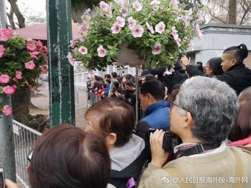 蛇之守望者游戏需要什么配置